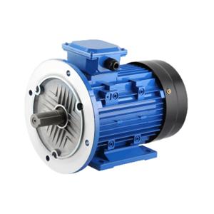 Y2/Y3 SERIES MOTOR